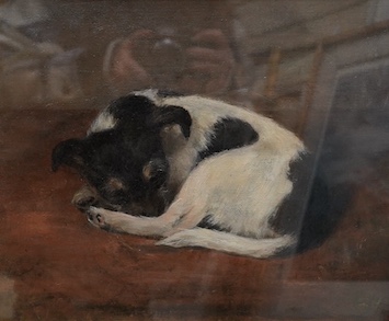 Circle of Frank Paton (1855-1909), oil on canvas, Study of a sleeping Jack Russell terrier, unsigned, 29 x 32cm, ornate gilt framed. Condition - fair to good, small hole to the canvas